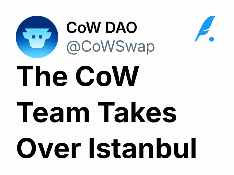 The CoW Team Takes Over Istanbul | CoW DAO