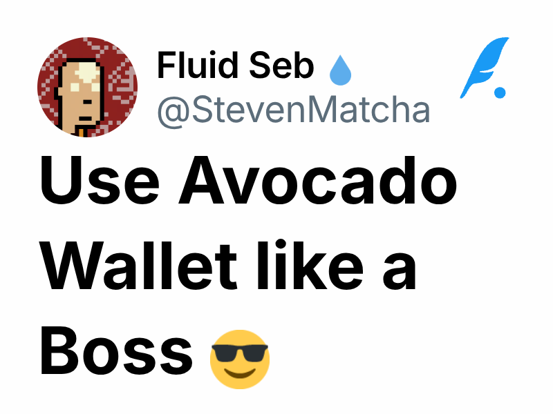 Use Avocado Wallet like a Boss 😎 | Fluid Seb 💧