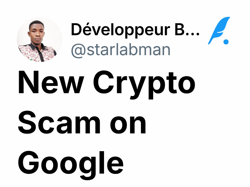 New Crypto Scam on Google | Développeur Blockchain | CRYPTO DUDES ️ ...