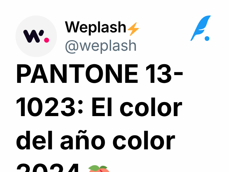 PANTONE 13-1023: El color del año color 2024 🍑 | Weplash⚡️